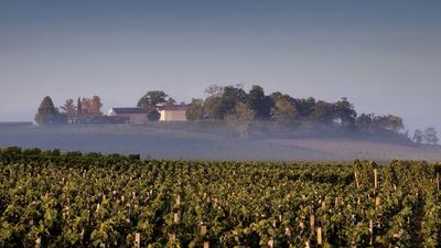 A Clarence Dillon estates tour offers an unparalleled way to experience Bordeaux