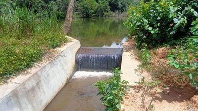 Check dams, percolation ponds help reduce negative human-animal interactions at Gudalur in Udhagamandalam