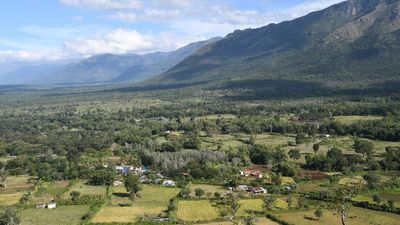 Conservationists criticise appeal to reduce area of private lands demarcated as part of Sigur elephant corridor
