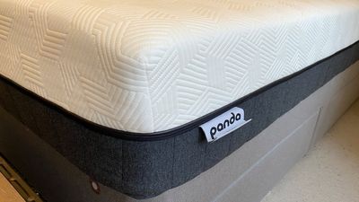 Panda London Hybrid Bamboo Mattress review 2023: bamboo isn’t just for pandas