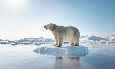What would happen to Earth if it were to cool, rather than heat, by 1.5C?