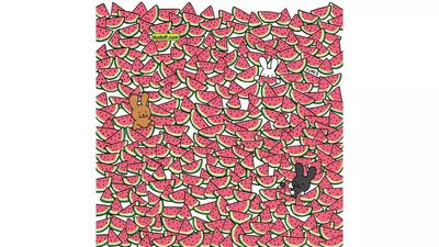Brain teaser: How long does it take to spot 5 seedless melons?