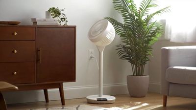 IRIS USA WOOZOO Pedestal Standing Fan: two fans in one