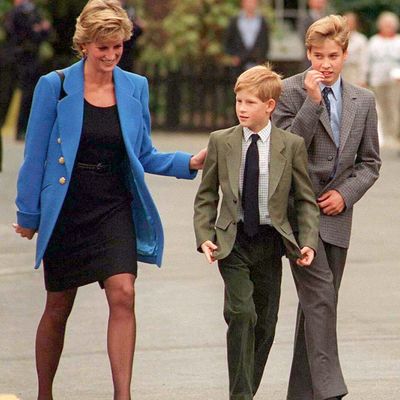 Prince William and Prince Harry Detail Their Last Phone Call with Their Mother, Princess Diana, Hours Before Her Untimely Death