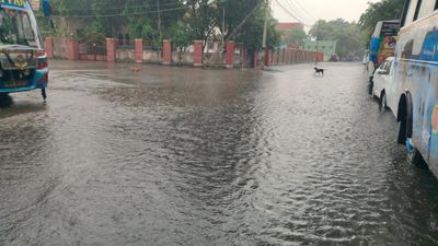 Rain lashes Vellore, nearby districts