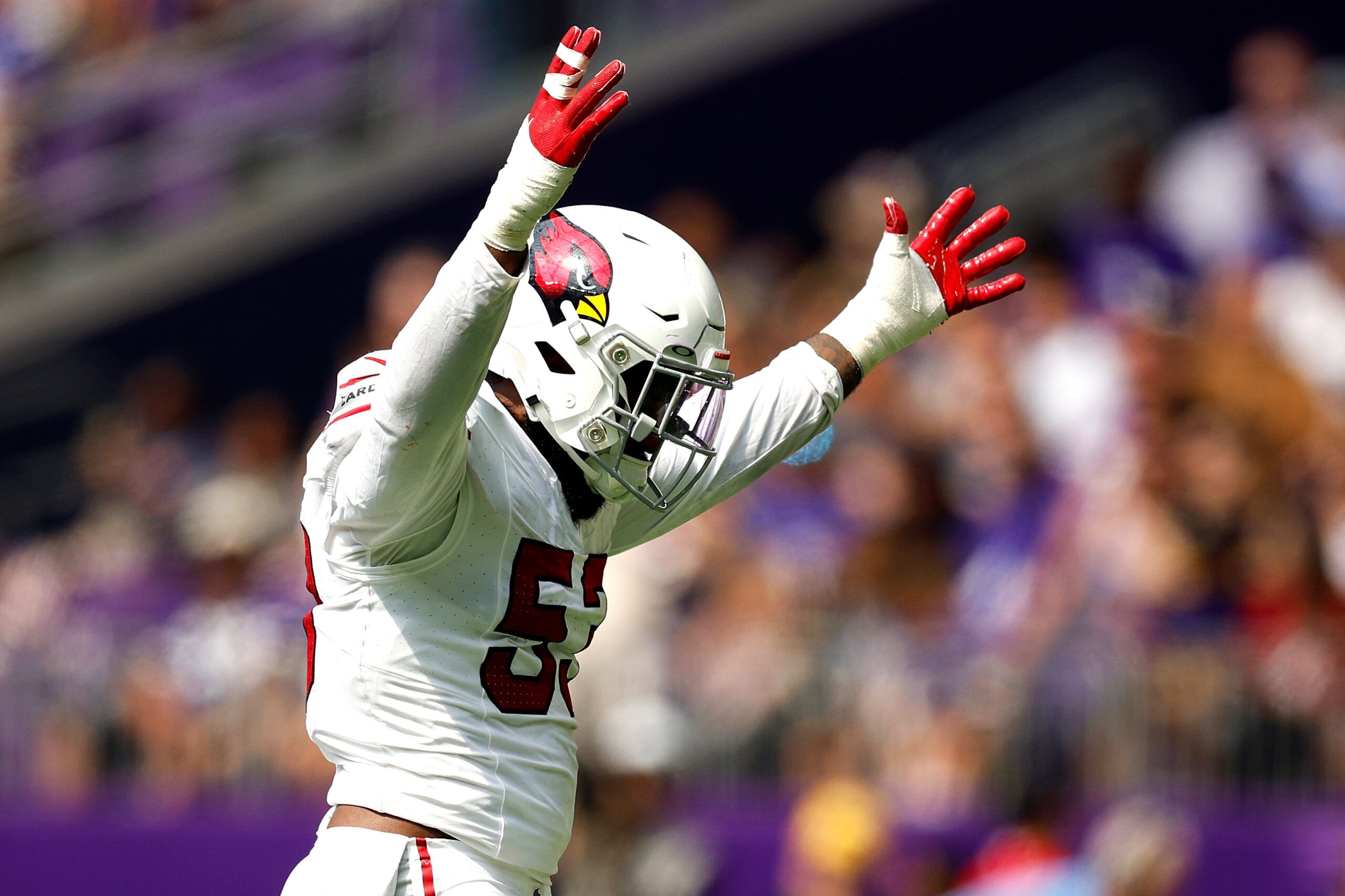 Cardinals training camp roster preview: DL Eric Banks