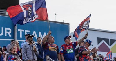 All of the photos from the Newcastle Knights eighth consecutive victory