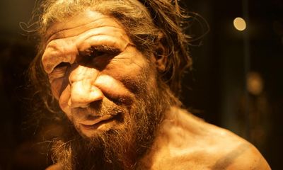 Study casts doubt on Neanderthal ‘flower burial’ theory