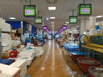South Korea’s seafood sellers reel as science fails to ease Fukushima fears