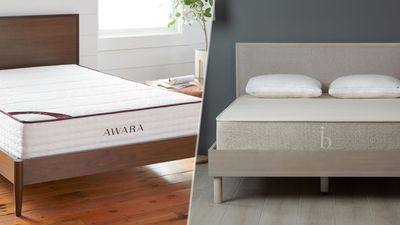 Birch vs Awara: which organic mattress is best?