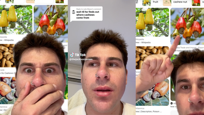 Aussies Have Just Figured Out How Cashews Grow & Why TF Do They Look Like That