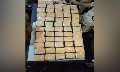 Assam STF seizes large quantity of contraband drugs from Tinsukia