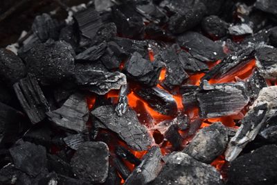 Are Coal Prices Setting Up for an End of the Year Rebound?