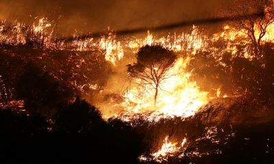 Dramatic climate action needed to curtail ‘crazy’ extreme weather