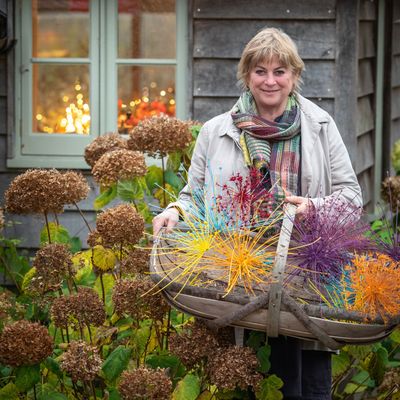 How to grow forced bulbs - Sarah Raven's top tips for winter flowering