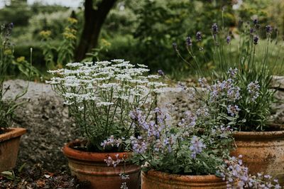 When should you take your plants inside?