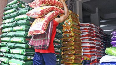 Basmati rice exporters express ‘shock’ over curbs, demand urgent solution