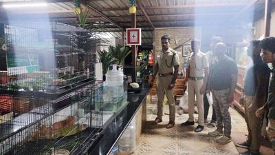 Forest Department bars Pollachi farm house from exhibiting exotic species