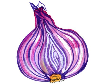 Why does chopping onions make me cry? Try our kids’ quiz
