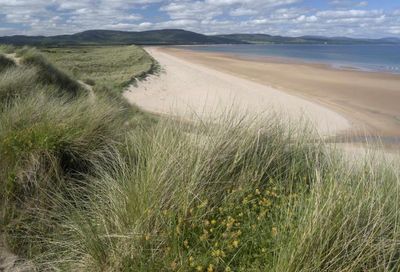 New research crowns Scottish beach as the 'cleanest' in the UK