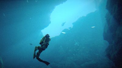 How Under the Waves is bringing a touching personal story to life with an environmental message
