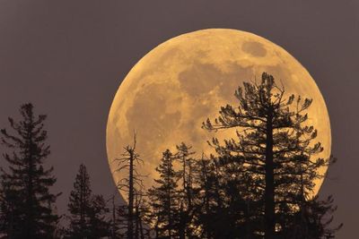 Blue Moon supermoon set to appear Scottish skies this week