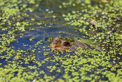 After Supreme Court curtails federal power, Biden administration weakens water protections