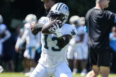 Carolina Panthers waive former Georgia WR