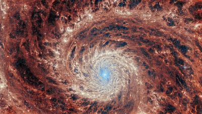 James Webb Space Telescope gazes into the Whirlpool galaxy's hypnotic spiral arms (photos)