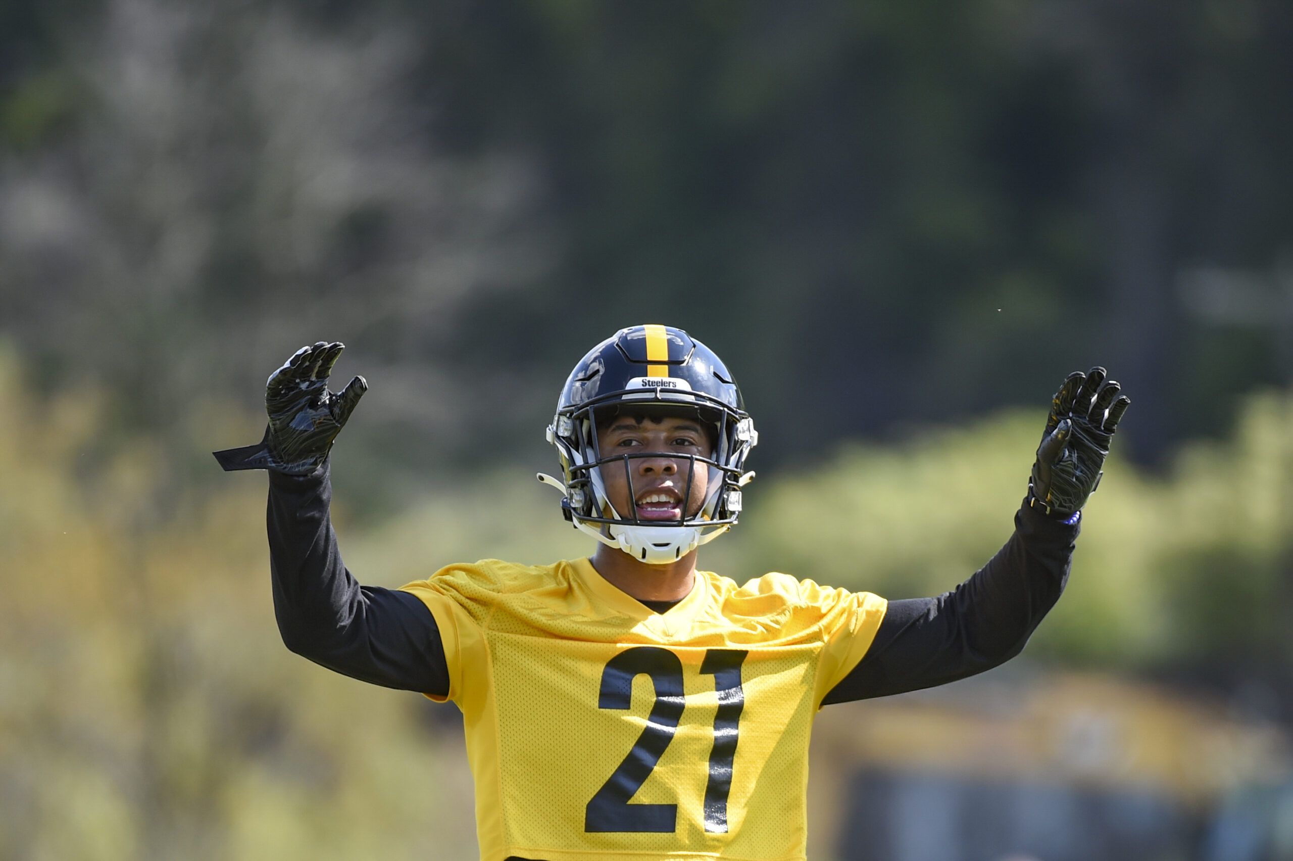 Pittsburgh Steelers Make Final Roster Cuts