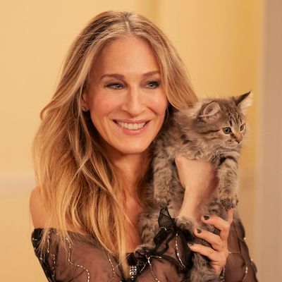 Sarah Jessica Parker Adopts Her ‘And Just Like That’ Kitten, Shoe, IRL