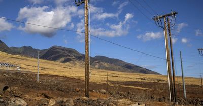 Hawaii fires show transition to underground power lines is overdue