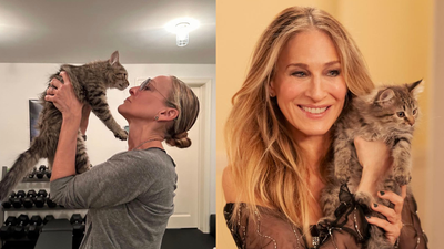 And Just Like That, Sarah Jessica Parker Has Adopted Shoe The Kitten But Kept His Real Name