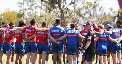 Knights primed to keep momentum rolling into the NRL finals