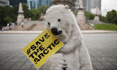 Why it may be time to stop using the polar bear as a symbol of the climate crisis