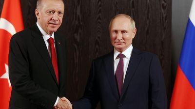 Turkey's Erdogan hopes to kick-start failed Black Sea grain deal with Vladimir Putin