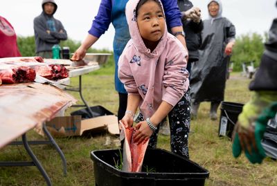 An Alaska district aligns its school year with traditional subsistence harvests