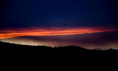 The best recent poetry – review roundup