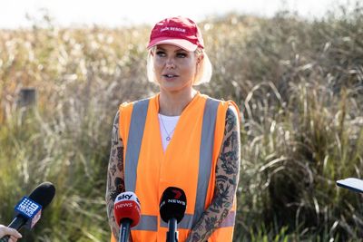 Victorian inquiry to recommend state ban on duck hunting amid union backlash