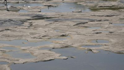 Despite late surge in rain, Kerala on the brink of driest August since 1901