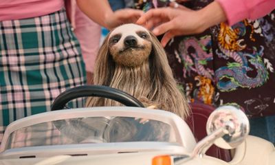 Slotherhouse: is a horror film about a killer sloth secretly a masterpiece?