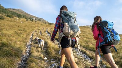 Can I wear gym clothes to hike?