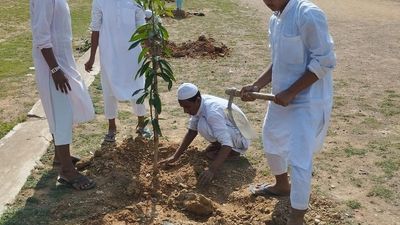 Citizens plant 250 saplings as part of ‘Green Badvel’ movement