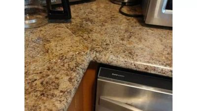 Optical Illusion: Only those with extraordinary vision skill can find the sandwich in this picture