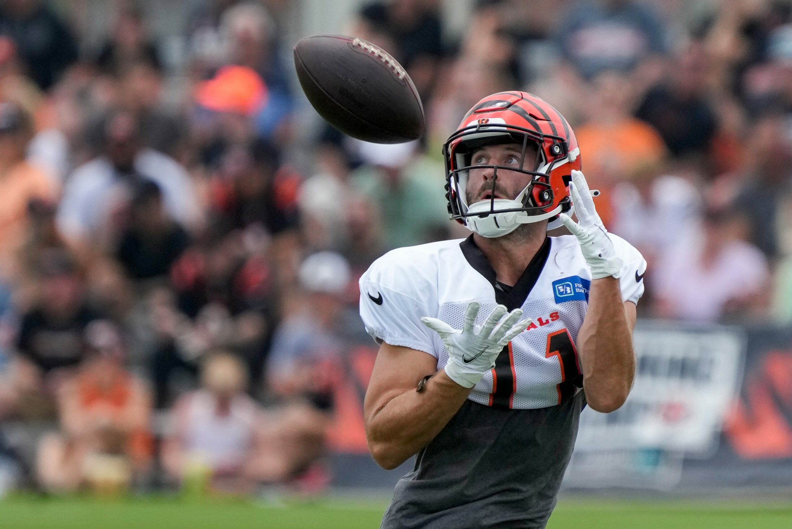 Raymond Johnson to Lions practice squad: Bengals News - Cincy Jungle