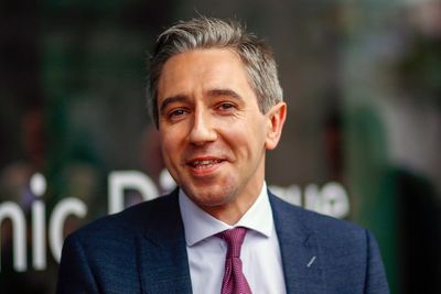 Harris calls for national debate about adding TDs ‘ad nauseum’