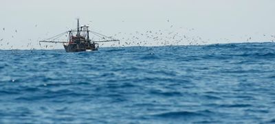 Public fed 'blinkered view' on seized fishing vessels