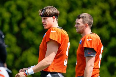 Joe Burrow posts funny self-meme after injury return