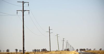 Overhead power lines the 'correct approach' despite critics: inquiry