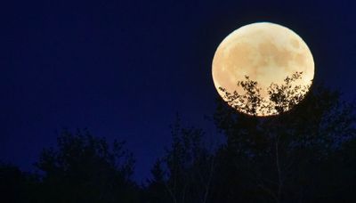 Super blue moon doesn’t disappoint